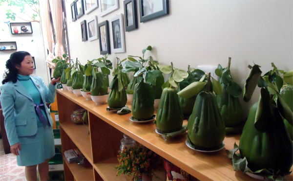 Quả thờ bàn tay Phật: Hàng độc Việt Nam, đại gia chưa đến lượt Quả thờ bàn tay Phật: Hàng độc Việt Nam, đại gia chưa đến lượt