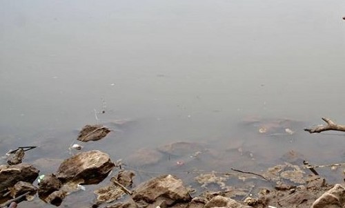 Kinh hãi phát hiện một phần thi thể nữ bị cắt rời trên mặt nước