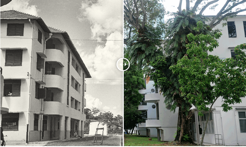 singapore-thay-doi-chong-mat-duoi-thoi-ly-quang-dieu-9