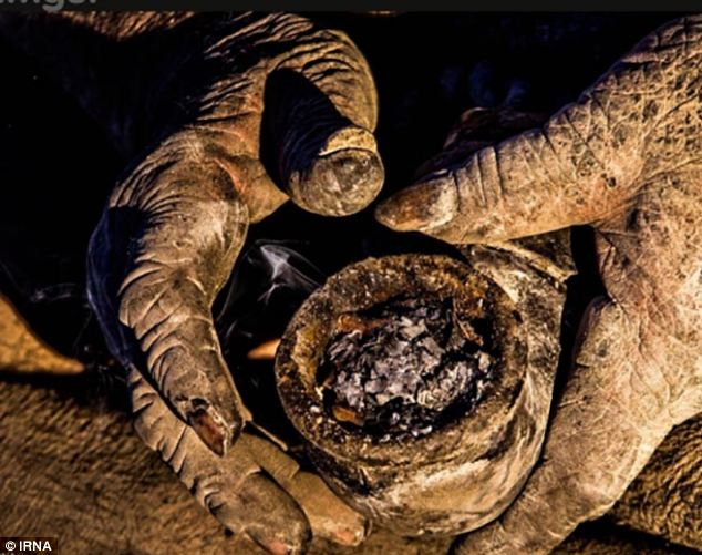 nguoi-dan-ong-khong-tam-suot-60-nam-vi-that-tinh-3