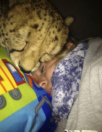 co-gai-lam-ban-voi-bao-8