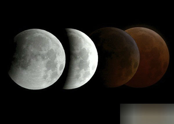 hinh-anh-ve-trang-mau-2