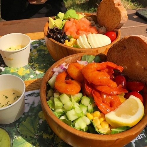 giam can, lot xac, vit hoa thien nga