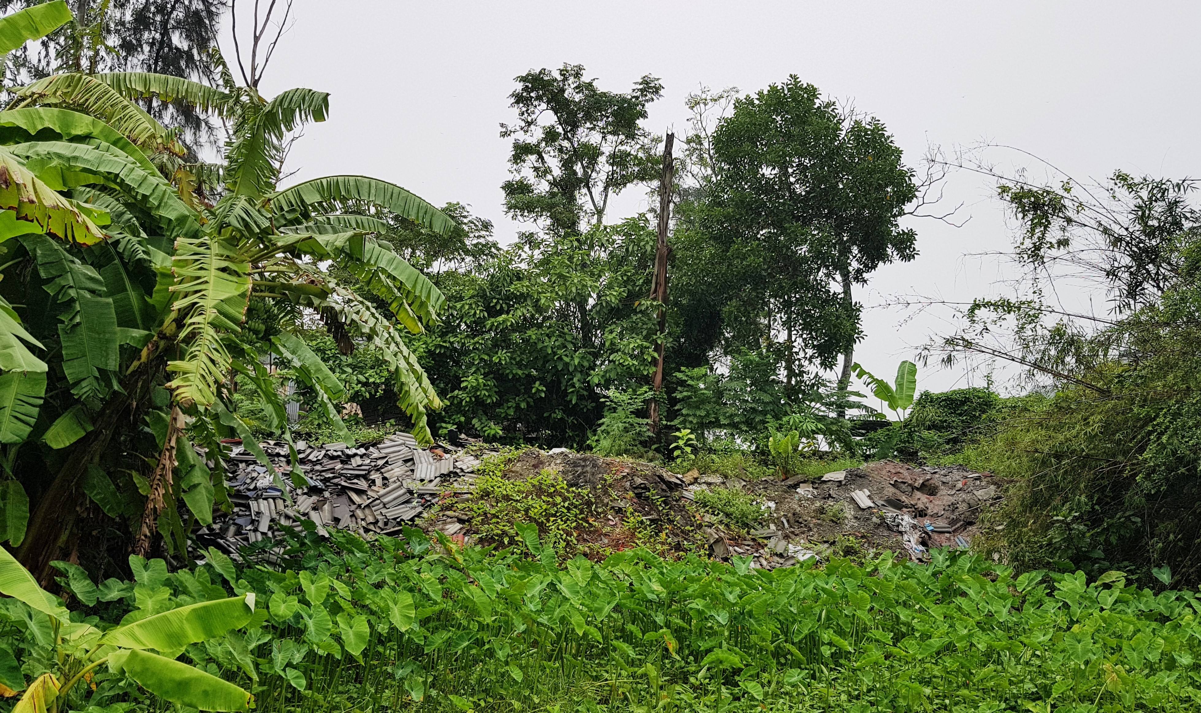 Điều gì khiến Công ty Cổ phần Vật liệu và Xây dựng ICEM, Nghệ An Điều gì khiến Công ty Cổ phần Vật liệu và Xây dựng ICEM, Nghệ An