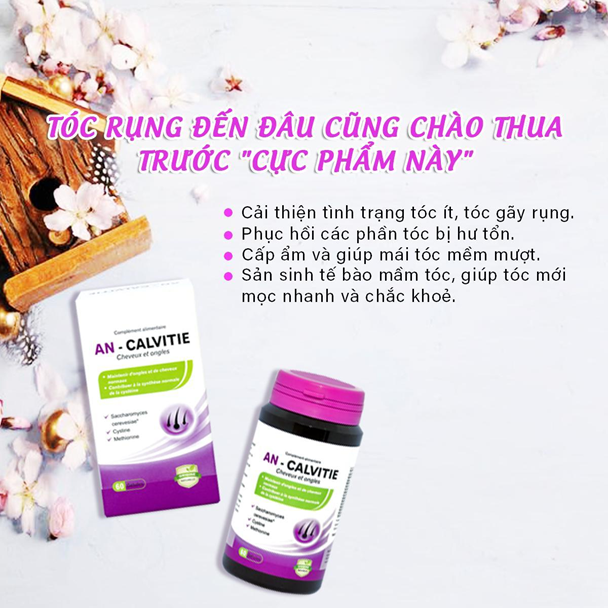 An Calvitie – Chìa khóa vàng cho mái tóc khỏe đẹp tự nhiên - Ảnh 1