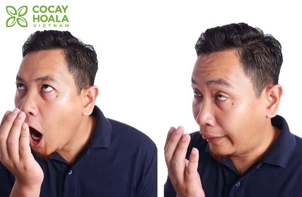 Điểm mặt 5 thủ phạm gây hôi miệng mà bạn không ngờ tới - Ảnh 1