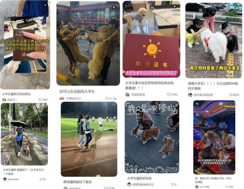 sinh vien lam nghe dat cho di dao1 sinh vien lam nghe dat cho di dao1