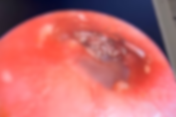 f7f09cc0 dedf 423a 8ce5 24b804a6406a