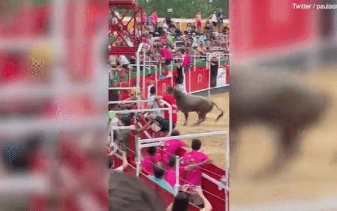 bi treu nguoi bo tot vuot rao nhay vao dam dong khien cac du khach bo chay1 bi treu nguoi bo tot vuot rao nhay vao dam dong khien cac du khach bo chay1