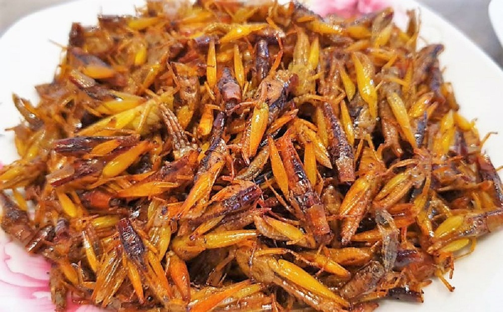 nghe an nguoi phu nu tu vong sau khi an mot con chau chau rang 1