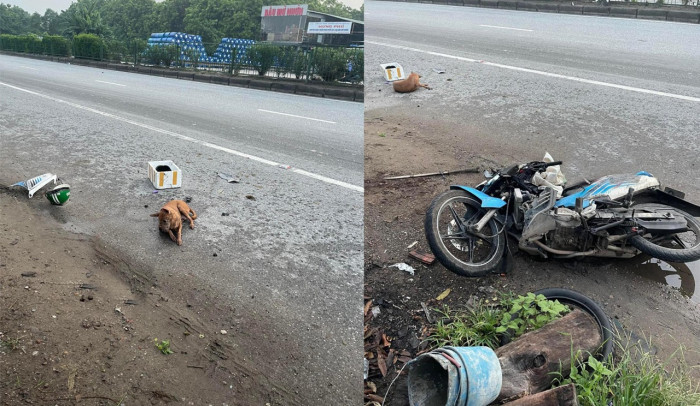 tin tuc tai nan giao thong moi nhat ngay 22 8 2023 xe khach dam xe buyt khien nhieu nguoi hoang loan 3 tin tuc tai nan giao thong moi nhat ngay 22 8 2023 xe khach dam xe buyt khien nhieu nguoi hoang loan 3