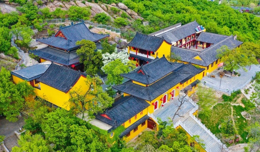 cay co thu gan dep nhat trung quoc gan 900 tuoi nhung van no hoa trang muot hut khach du lich 1 cay co thu gan dep nhat trung quoc gan 900 tuoi nhung van no hoa trang muot hut khach du lich 1