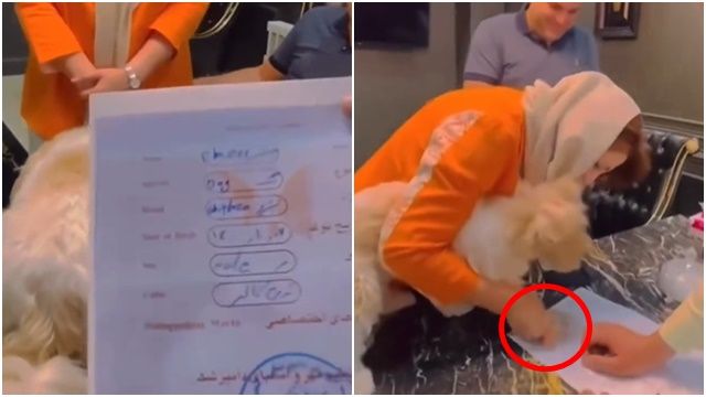 khong co con cap vo chong tai iran bi bat vi ban nha cho cun cung 1