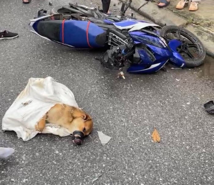 tin tuc tai nan giao thong moi nhat ngay 25 8 2023 va cham o to khach trong dem nam thanh nien tu vong 1 tin tuc tai nan giao thong moi nhat ngay 25 8 2023 va cham o to khach trong dem nam thanh nien tu vong 1