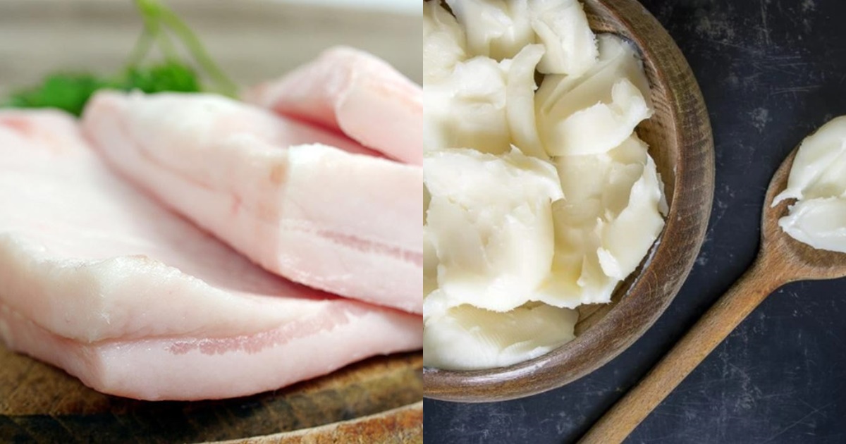 dau an hay mo lon tot hon cho suc khoe chuyen gia giai dap thac mac 9