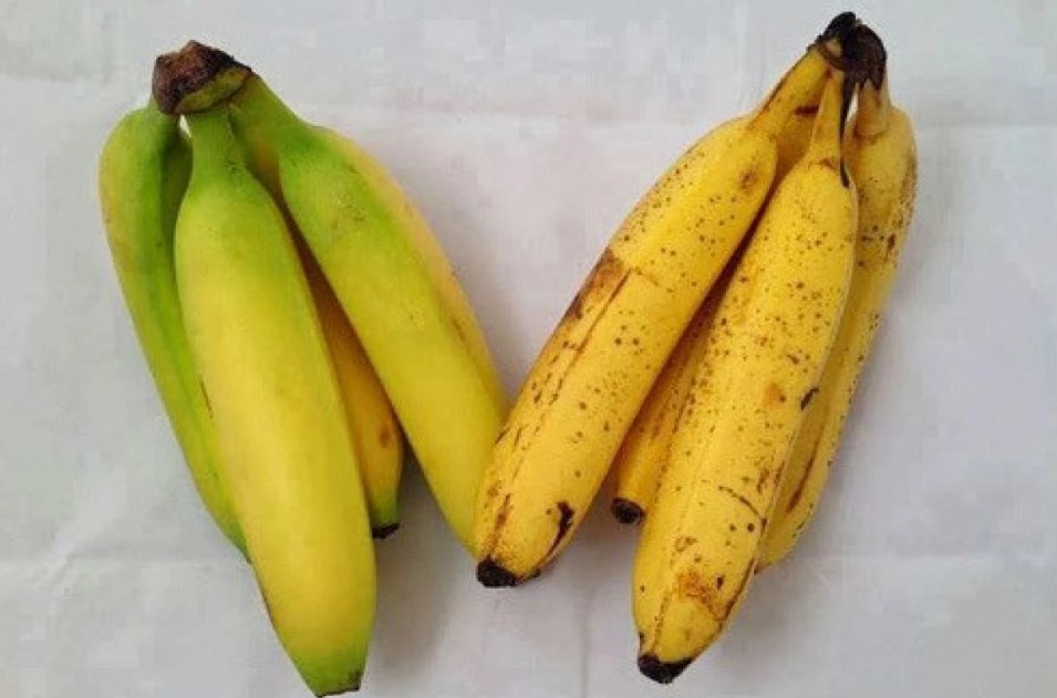 mua chuoi chon qua thang hay cong thi ngon cau tra loi chac chan se khien ban bat ngo 3 mua chuoi chon qua thang hay cong thi ngon cau tra loi chac chan se khien ban bat ngo 3