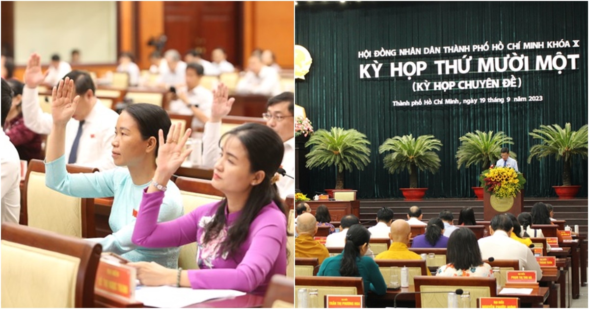 tp hcm nguoi bat muoi dem phun tam hoa chat diet muoi duoc ho tro 130 000 dong dem 3