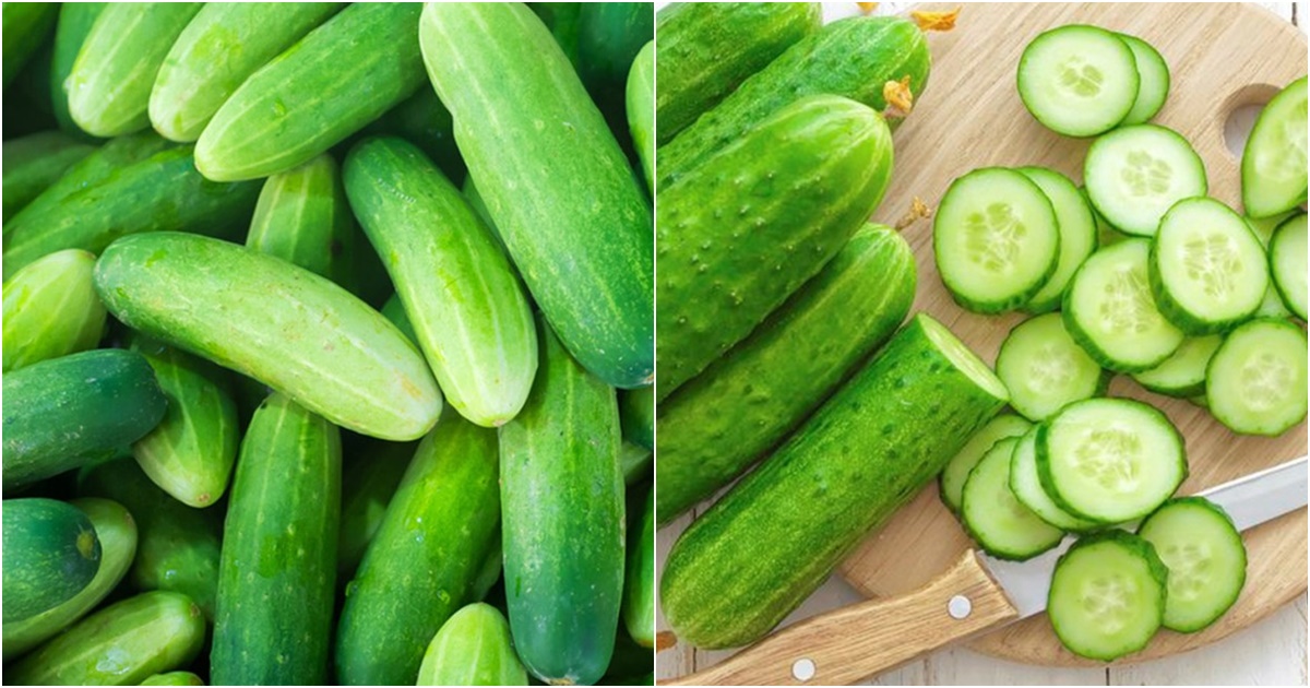 5 loai rau co the ton du nhieu thuoc tru sau muon su dung phai tuyet doi rua sach 13 5 loai rau co the ton du nhieu thuoc tru sau muon su dung phai tuyet doi rua sach 13