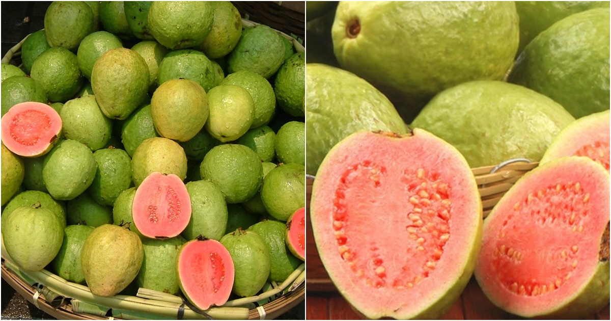 oi giau chat dinh duong mang lai nhieu loi ich cho suc khoe nhung khong phai ai cung an duoc 6 oi giau chat dinh duong mang lai nhieu loi ich cho suc khoe nhung khong phai ai cung an duoc 6