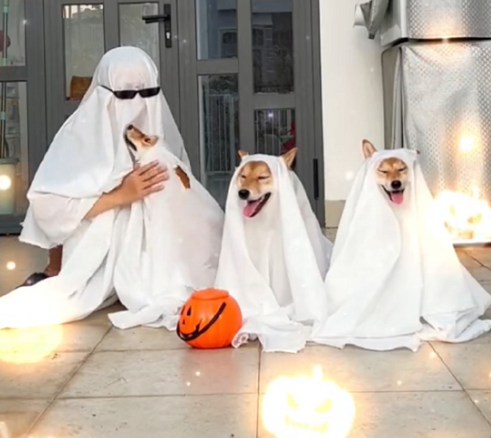 nhung man hoa trang halloween doc dao khien cu dan mang khong nhin duoc cuoi 11 nhung man hoa trang halloween doc dao khien cu dan mang khong nhin duoc cuoi 11