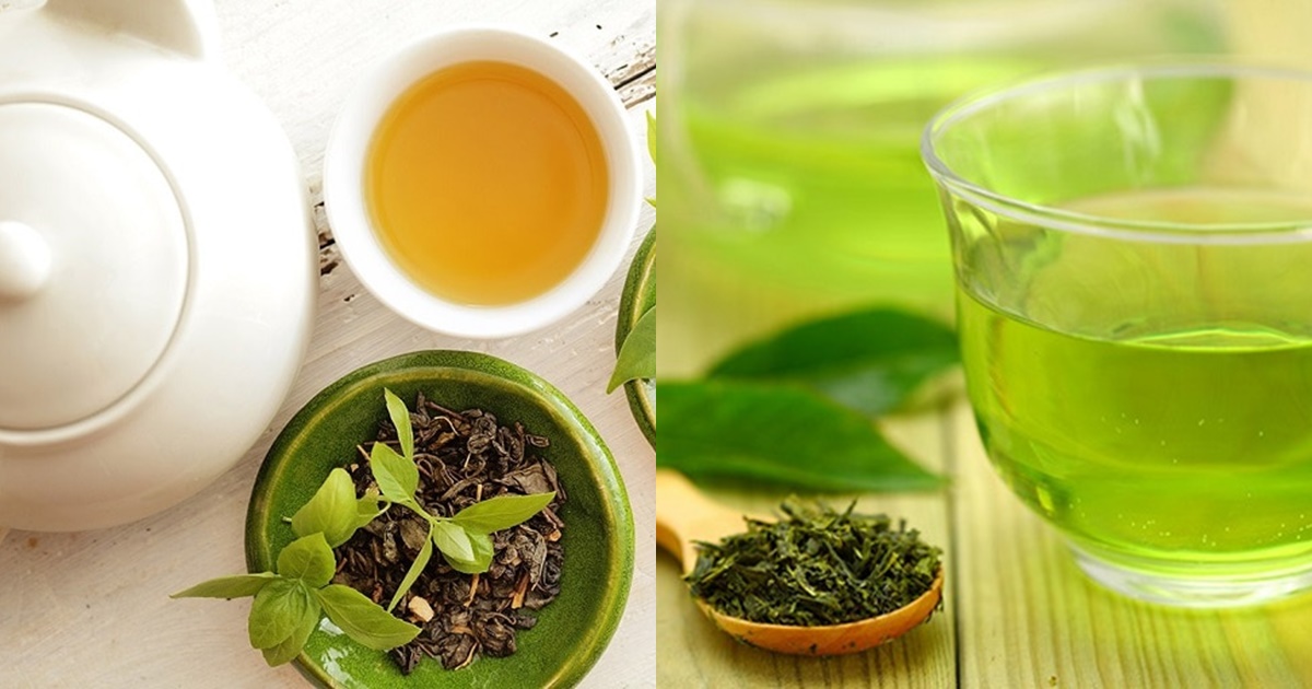 che xanh la thuc uong tot cho suc khoe tuy nhien lai khong phu hop voi mot so nhom nguoi sau 5