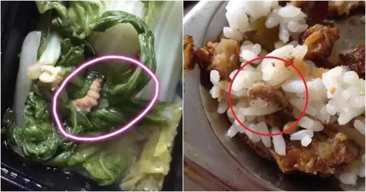 co giao mam non gui nham anh vao nhom chat phu huynh ai ngo phu huynh xem xong dung dung doi xin nghi hoc cho con 5 co giao mam non gui nham anh vao nhom chat phu huynh ai ngo phu huynh xem xong dung dung doi xin nghi hoc cho con 5