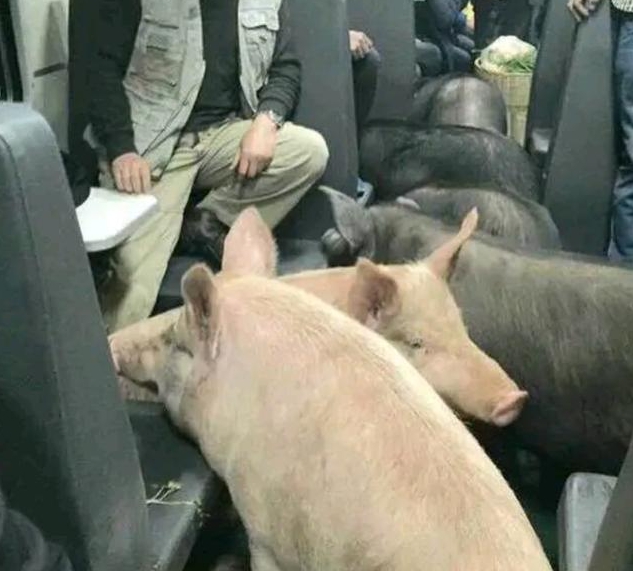 hy huu mua hang 0 dong tren mang nguoi phu nu sung nguoi voi canh tuong truoc mat 1