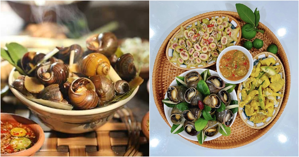 oc luoc la mon an yeu thich cua nhieu nguoi nhung nhung nguoi sau nen tranh xa keo ruoc them benh vao than 6 oc luoc la mon an yeu thich cua nhieu nguoi nhung nhung nguoi sau nen tranh xa keo ruoc them benh vao than 6