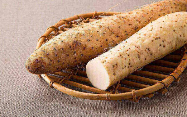 top 5 loai thuc pham la vua bo than cuc ky bo duong ma lai rat de tim thay o cho viet 2 top 5 loai thuc pham la vua bo than cuc ky bo duong ma lai rat de tim thay o cho viet 2