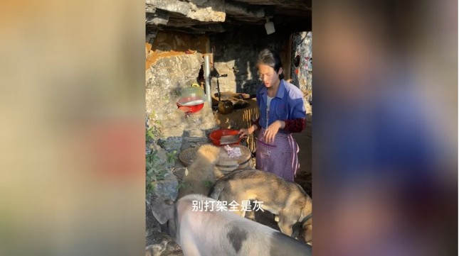 chang trai 21 tuoi nghi huu bo pho len nui trong rau nuoi lon 4 chang trai 21 tuoi nghi huu bo pho len nui trong rau nuoi lon 4