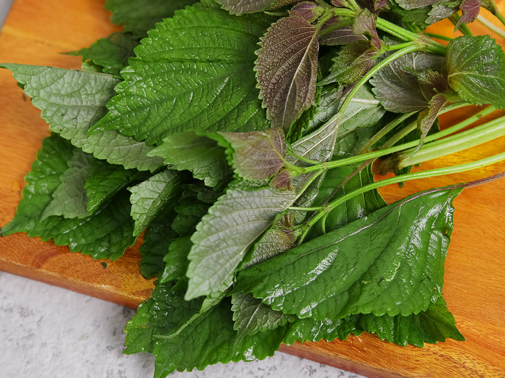 nhung nguoi khong nen uong nuoc la tia to keo mang benh vao nguoi 3 nhung nguoi khong nen uong nuoc la tia to keo mang benh vao nguoi 3