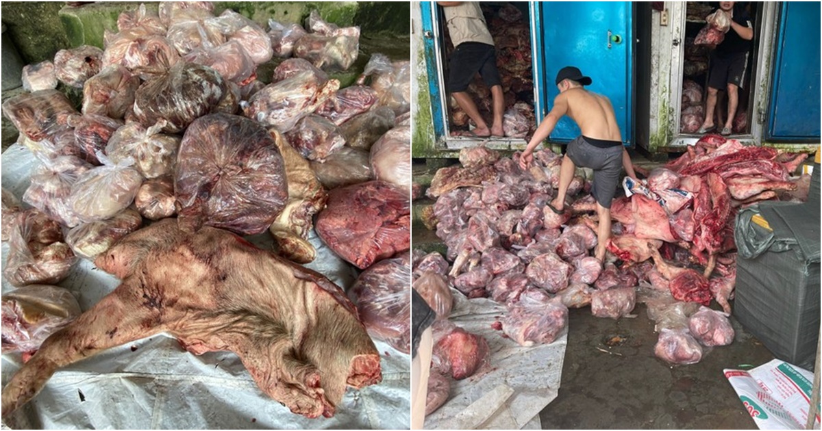 vu 3 tan thit lon va noi tang boc mui hoi thoi o hue co mau nhiem ecoli cao gap 60 lan muc cho phep 3 vu 3 tan thit lon va noi tang boc mui hoi thoi o hue co mau nhiem ecoli cao gap 60 lan muc cho phep 3
