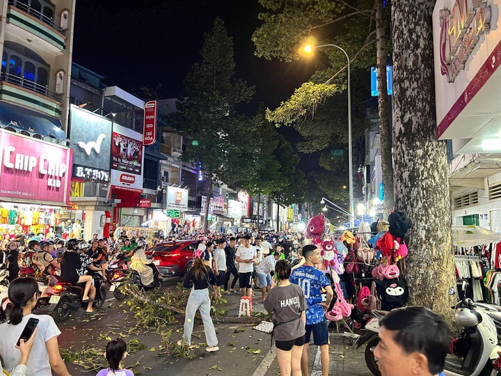 vu nguoi dan ong bi nhanh cay roi trung dau tu vong don vi quan ly noi gi 1