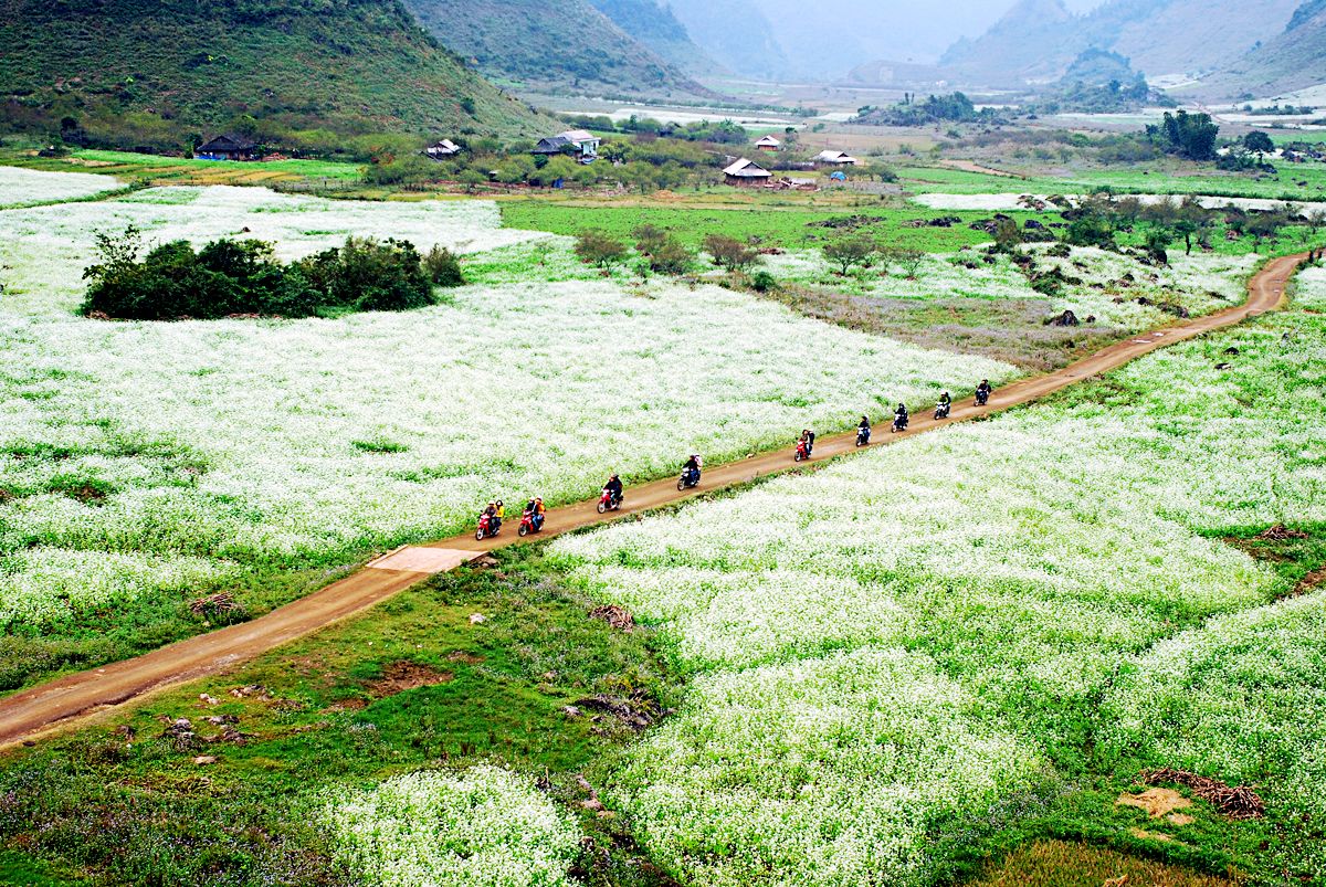 dia diem du lich ly tuong gan ha noi cho ky nghi tet nguyen dan giap thin 2024 4jpg