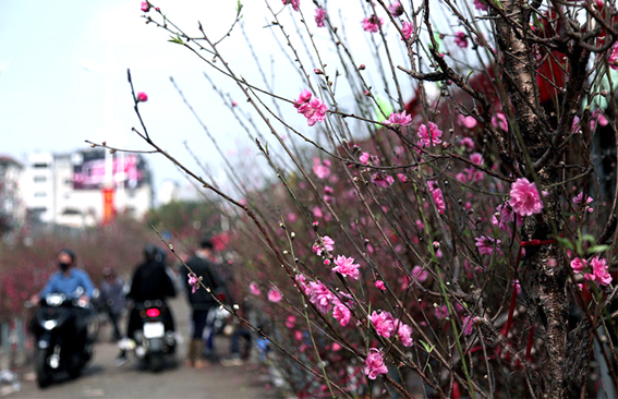mien bac sap don khong khi lanh rat manh vao giap tet 1