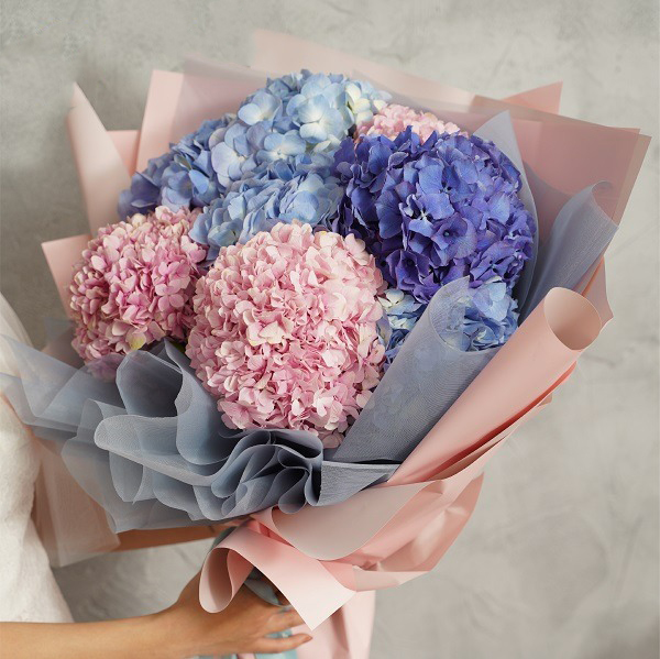goi y nhung loai hoa y nghia tang me vo nguoi yeu dong nghiep nhan ngay 8 3 11jpeg goi y nhung loai hoa y nghia tang me vo nguoi yeu dong nghiep nhan ngay 8 3 11jpeg