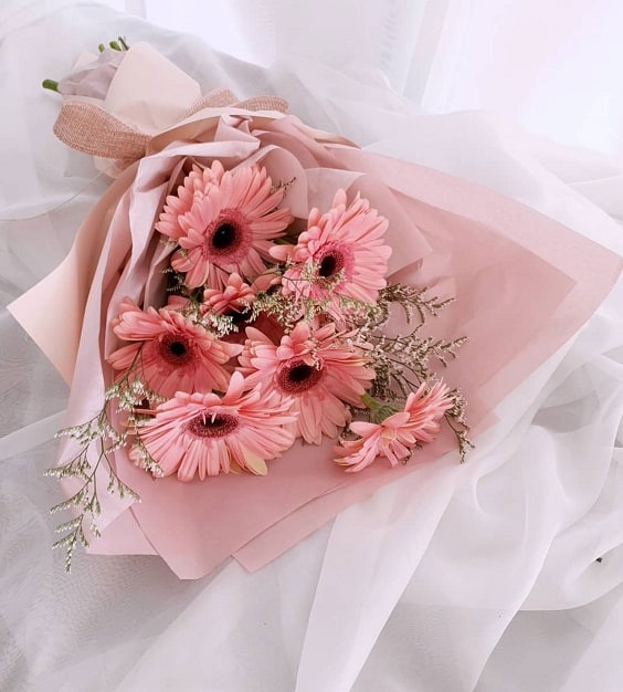 goi y nhung loai hoa y nghia tang me vo nguoi yeu dong nghiep nhan ngay 8 3 7 goi y nhung loai hoa y nghia tang me vo nguoi yeu dong nghiep nhan ngay 8 3 7