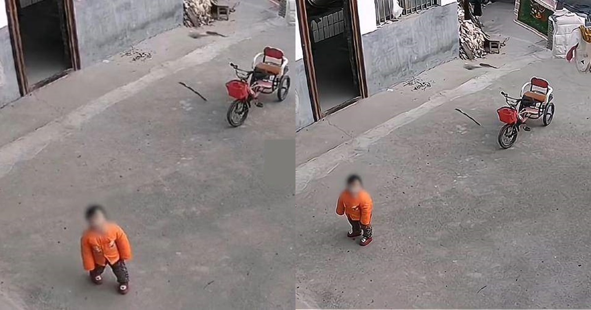 gui con 1 tuoi cho ong ba de di lam an xa canh tuong qua camera giam sat khien nhieu nguoi xuc dong 4 gui con 1 tuoi cho ong ba de di lam an xa canh tuong qua camera giam sat khien nhieu nguoi xuc dong 4