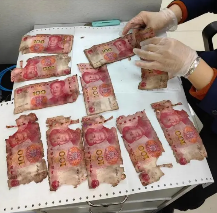 cu ong chon hon nua ty dong xuong duoi dat nguoi nha ngo ngang khi biet duoc su that1 cu ong chon hon nua ty dong xuong duoi dat nguoi nha ngo ngang khi biet duoc su that1