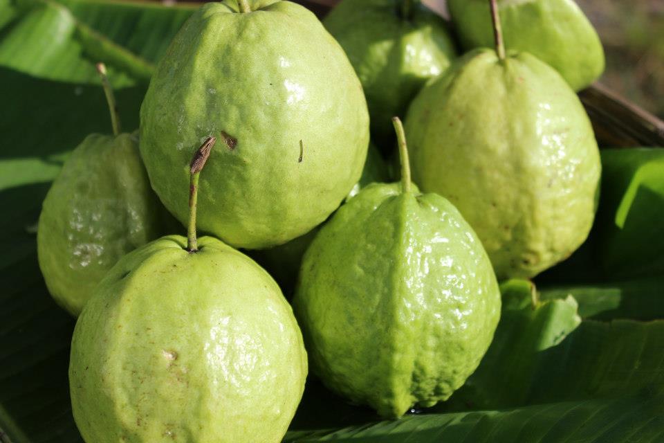 loai qua re tien de tim lai giau vitamin c gap 4 lan trai cam 2 loai qua re tien de tim lai giau vitamin c gap 4 lan trai cam 2