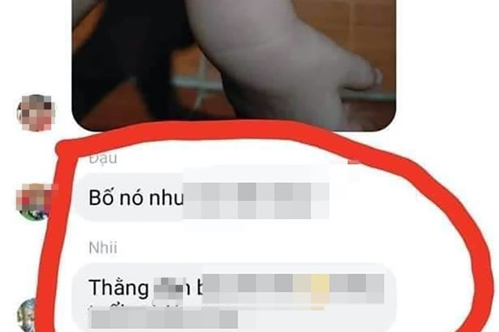 nghe an lo tin nhan miet thi phu huynh 5 giao vien xin nghi viec nghe an lo tin nhan miet thi phu huynh 5 giao vien xin nghi viec