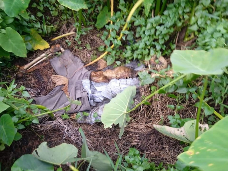 tp hcm phat hien bo xuong nguoi gan noi nguoi phu nu bi sat hai hom 5 5