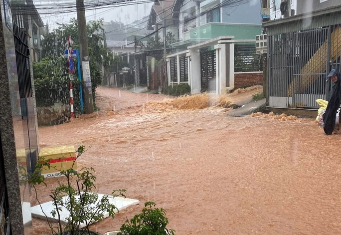 da lat ngap nang khap noi sau tran mua lon 10 da lat ngap nang khap noi sau tran mua lon 10