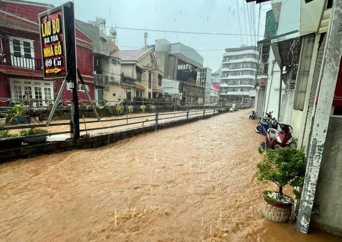 da lat ngap nang khap noi sau tran mua lon 11 da lat ngap nang khap noi sau tran mua lon 11