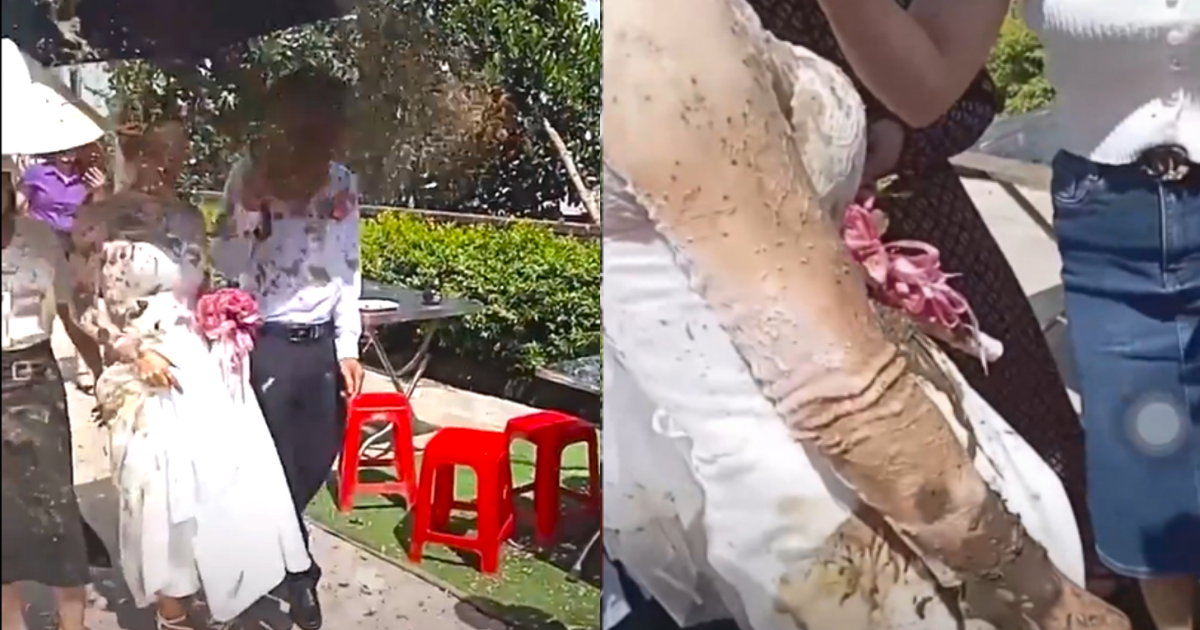 ha tinh cong an noi gi ve vu co dau chu re bi hat chat ban ha tinh cong an noi gi ve vu co dau chu re bi hat chat ban