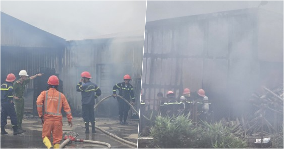 hoa hoan thieu rui trang trai nam rong hon 3 hecta o lam dong