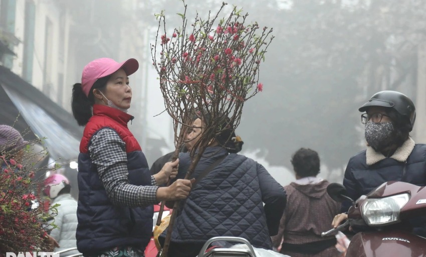 mien bac ret dam co noi ret hai mien nam nang nong ngay giap tet mien bac ret dam co noi ret hai mien nam nang nong ngay giap tet