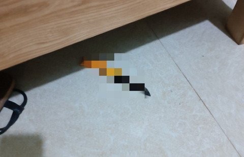 vu nu sinh lop 12 tu vong trong nha nghi o dak lak do niu keo tinh cam bat thanh vu nu sinh lop 12 tu vong trong nha nghi o dak lak do niu keo tinh cam bat thanh
