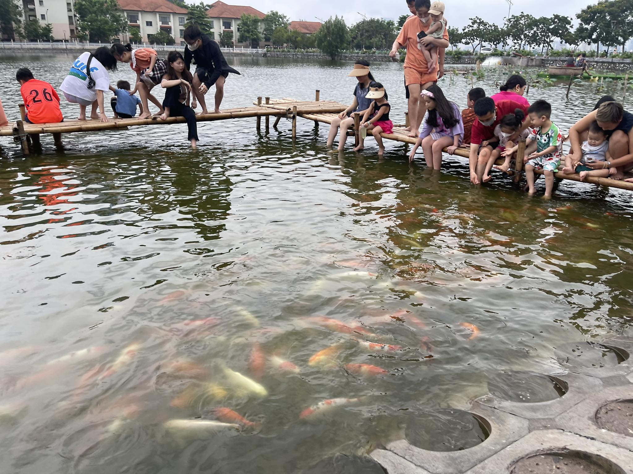 nguoi dan thu do xo den ho tay de trai nghiem ho ca koi lon nhat ha noi dip cuoi tuan 1 nguoi dan thu do xo den ho tay de trai nghiem ho ca koi lon nhat ha noi dip cuoi tuan 1