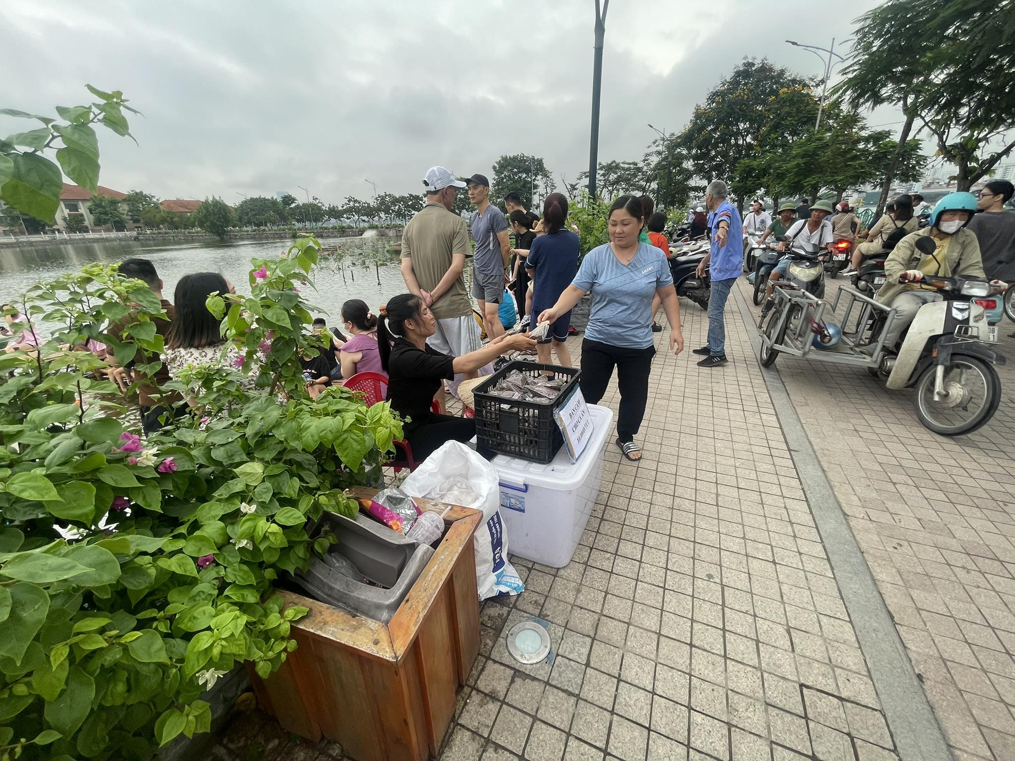 nguoi dan thu do xo den ho tay de trai nghiem ho ca koi lon nhat ha noi dip cuoi tuan 4 nguoi dan thu do xo den ho tay de trai nghiem ho ca koi lon nhat ha noi dip cuoi tuan 4